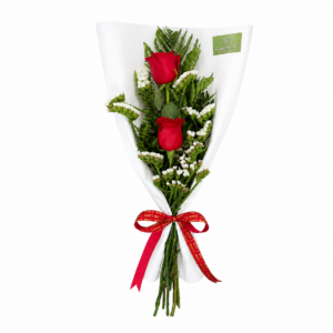 2 Rosas Tallo largo !